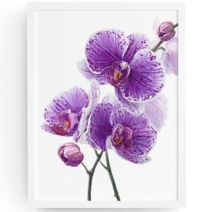 Watercolor Purple Orchids Wall Art Print Unframed - Elegant Floral Serenity